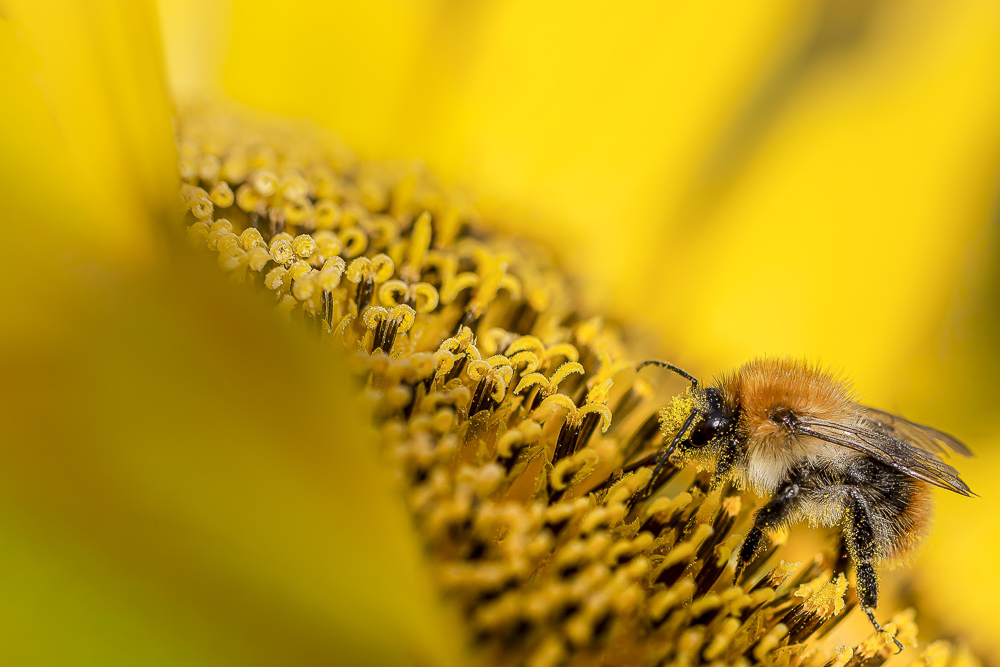 Platz 5 Anton Kienle